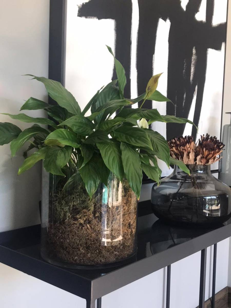 FF and E Services – Plant FF and E Services - Plant