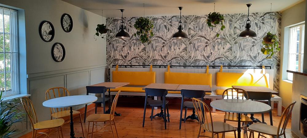 Forest on Cowie Sitting Area